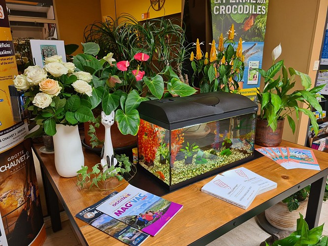 Restaurant Le Mas de l'Olivier