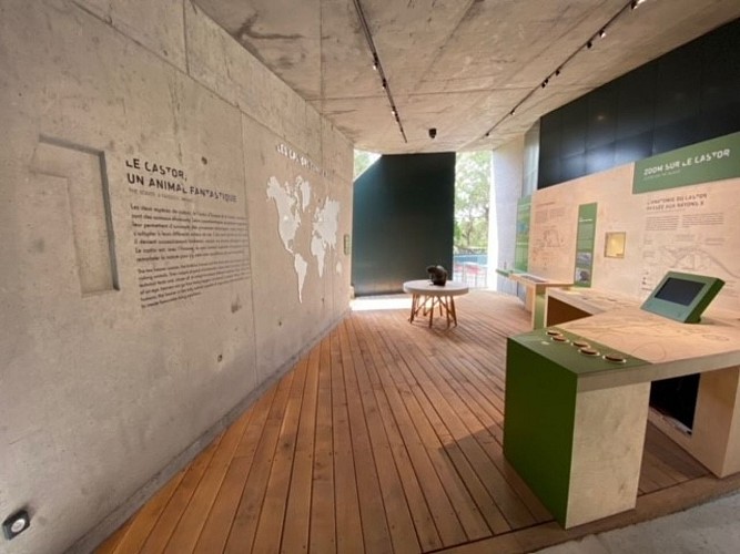 Maison du Castor