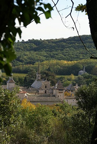 Forêt domaniale de Valbonne