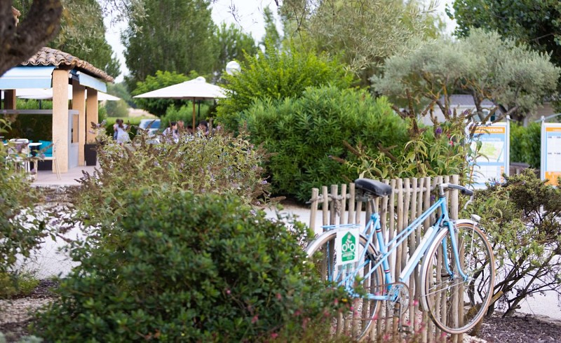 Camping Paradis Les Amarines