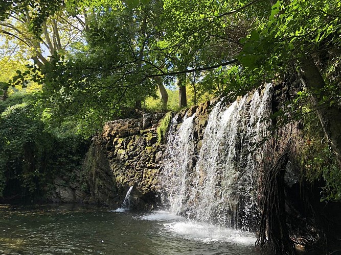 Les Tiny Houses de Cosy Nature