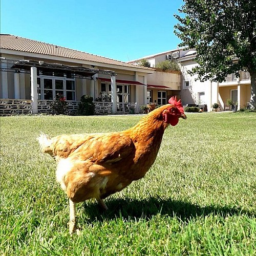 Hotel Le Mas des Ponts d'Arles