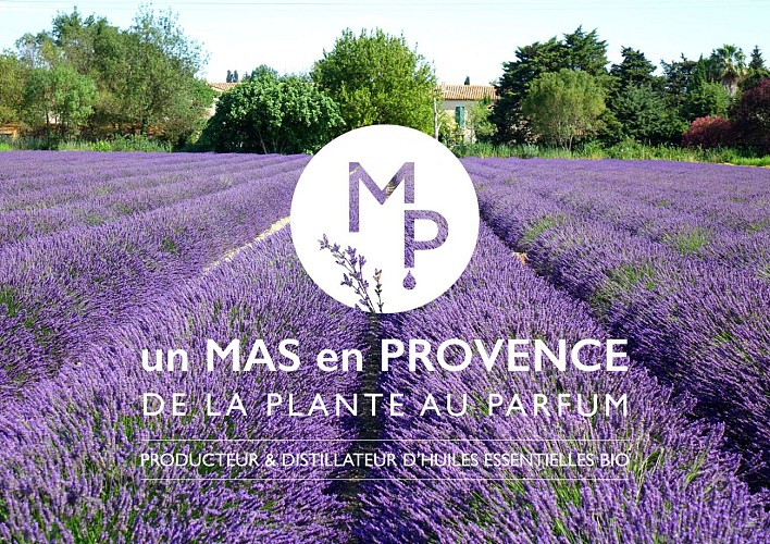 Un Mas en Provence