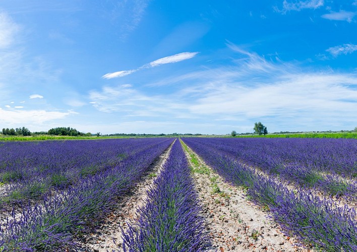 Un Mas en Provence