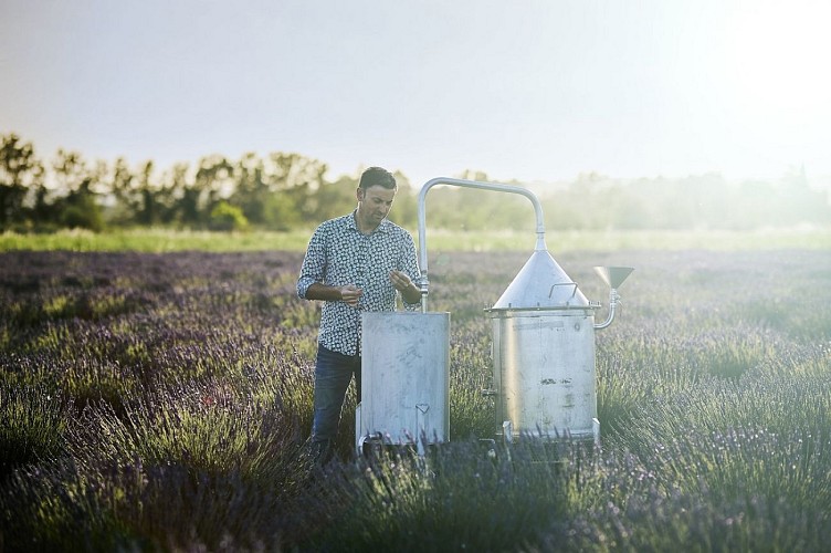 Un Mas en Provence