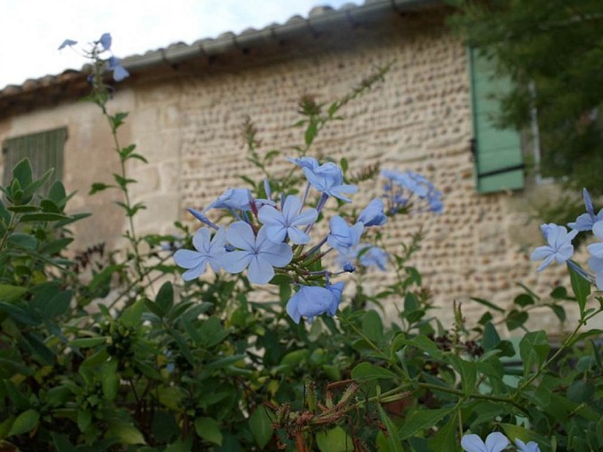 Gîte "Mas du Barry"