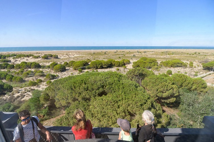 Le Phare de l'Espiguette