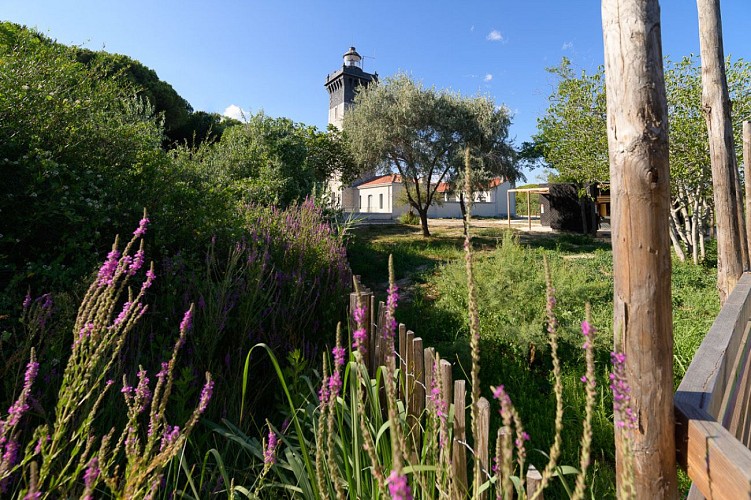 Le Phare de l'Espiguette