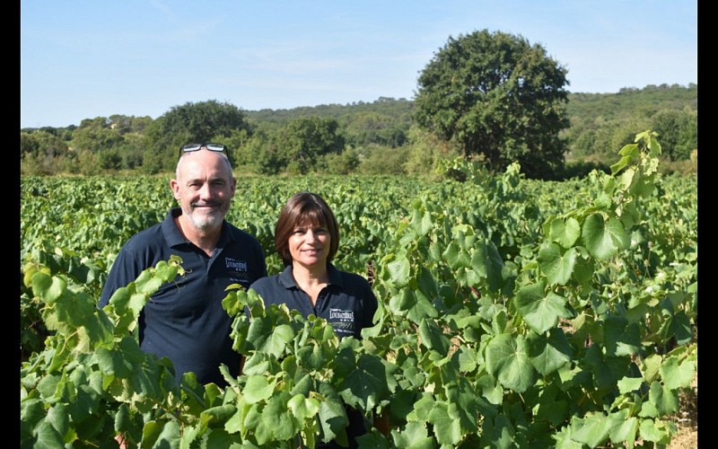 Domaine des Loubatieres