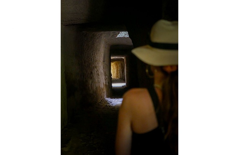 Domaine de Poulvarel