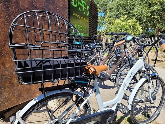 Stations Bee's Aigues-Mortes