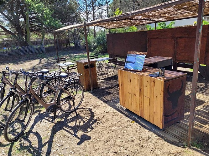 Stations Bee's Aigues-Mortes