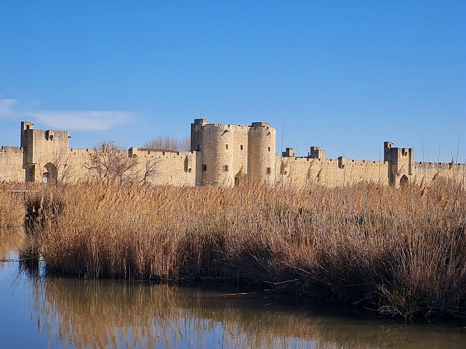 Aigues Mortes, la Cité