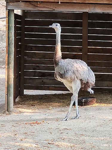 Animal garden of Mialet