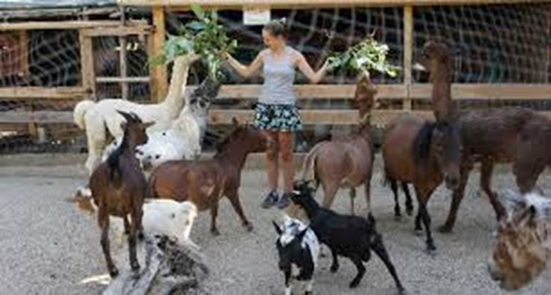 Dierentuin van Mialet