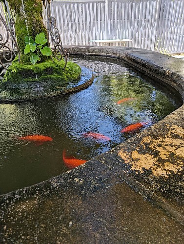 La Fontaine aux Poissons Rouges
