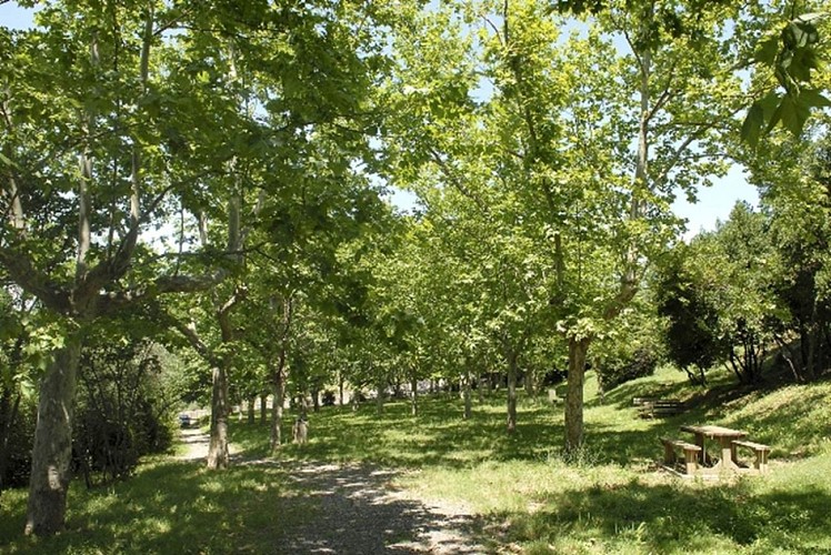 Mediterranean Park of Conilhères