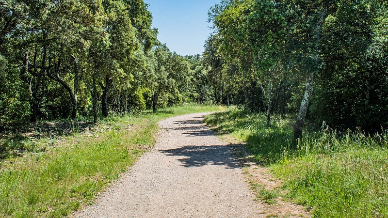 Le Bois des Espeisses