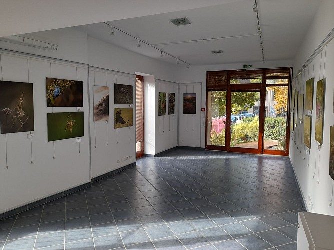 Maison du Parc et du Tourisme de Génolhac
