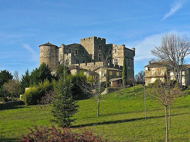 Château du Castellas à St Bonnet de la Salindrinque