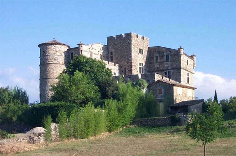Château du Castellas à St Bonnet de la Salindrinque