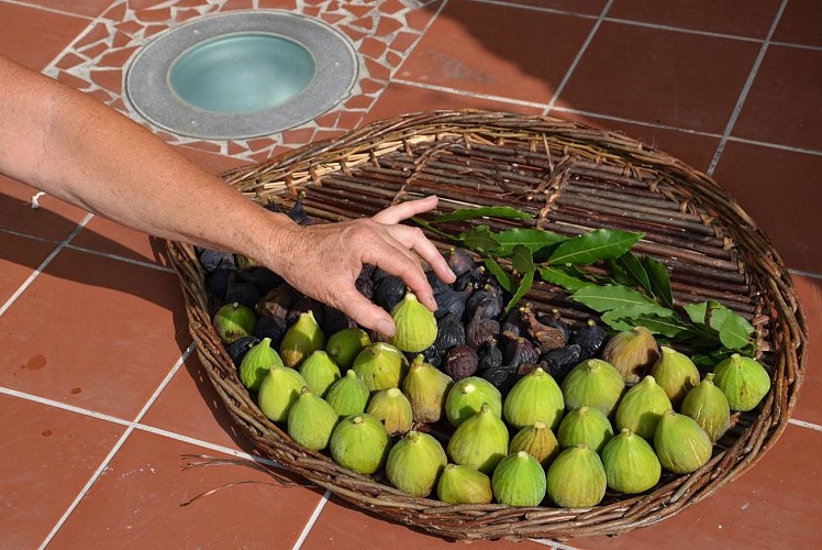 Tourist information office of Vézénobres