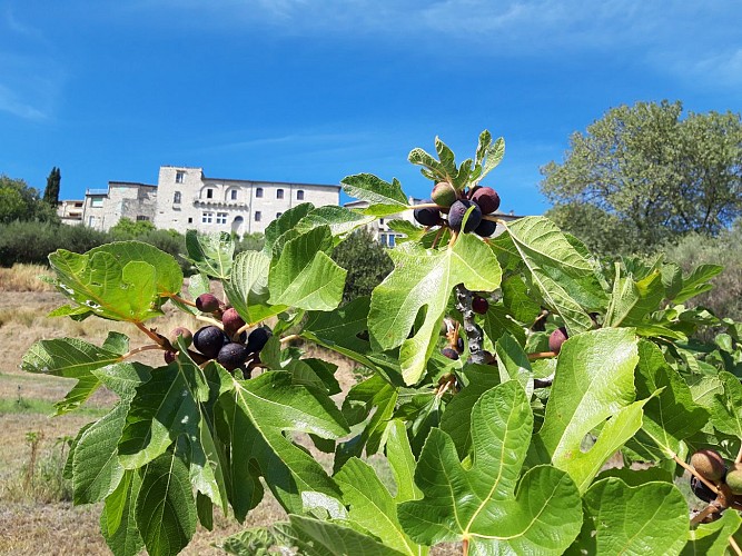 Toeristische dienst van Vézénobres