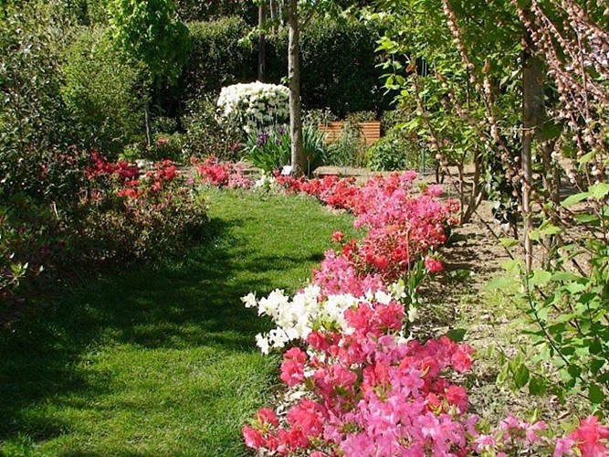 Parc Floral Les Camellias de la Prairie
