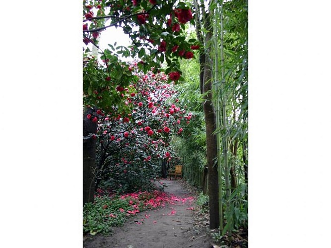 Parc Floral Les Camellias de la Prairie