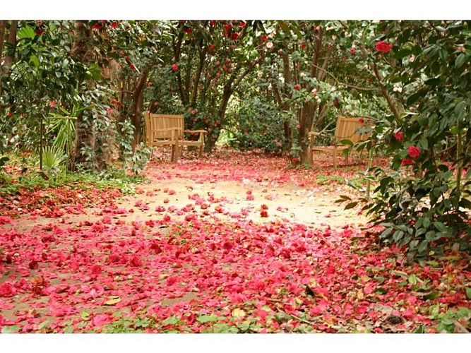 Parc Floral Les Camellias de la Prairie