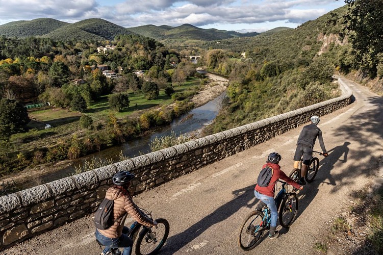 Cévennes Bike Tour