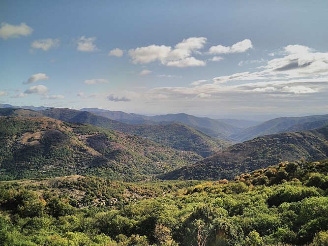 Cévennes Bike Tour