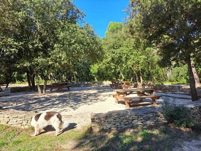 Mazet Lebrun picnic area