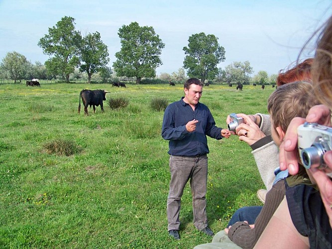 Les délices du Scamandre