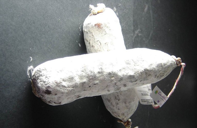 Les délices du Scamandre