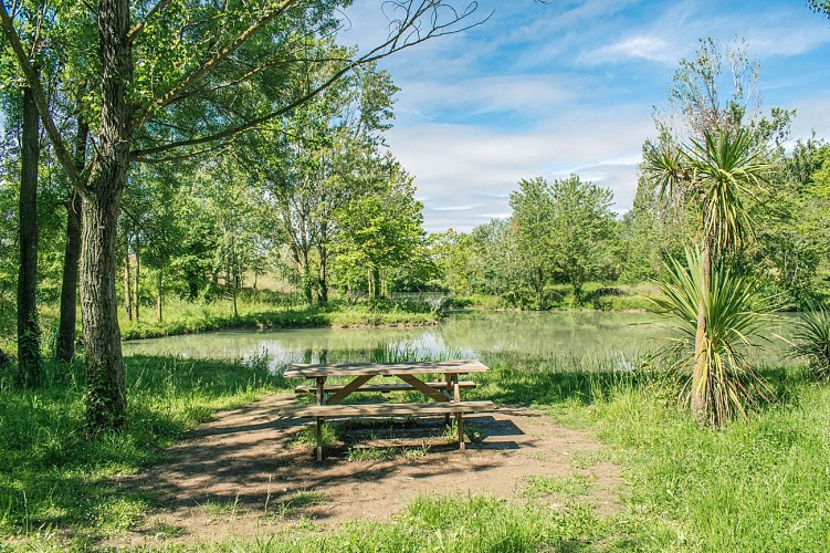 Domaine de la Bastide