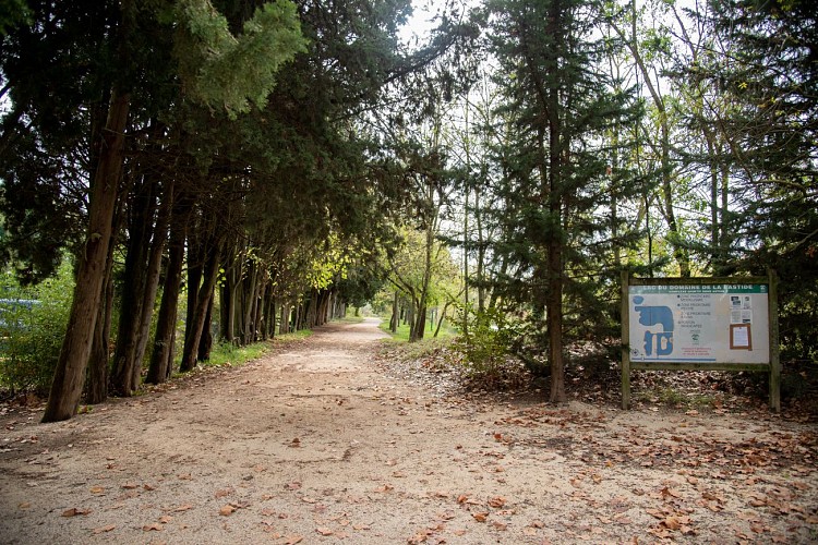 Domaine de la Bastide