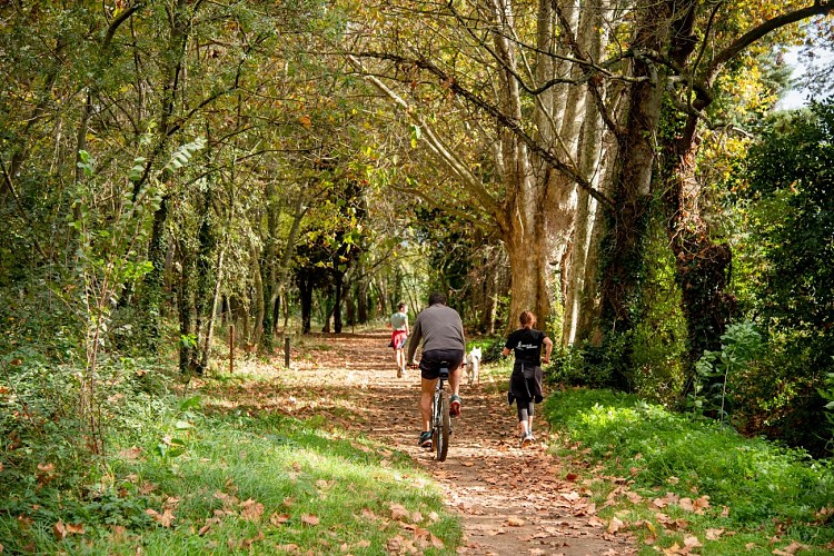 Domaine de la Bastide