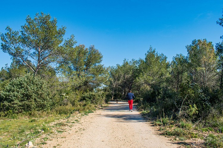 Les Terres de Rouvière