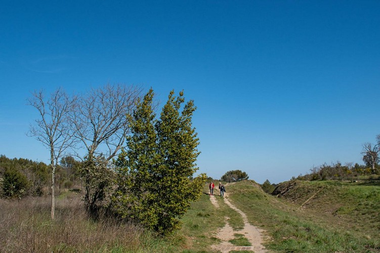Les Terres de Rouvière