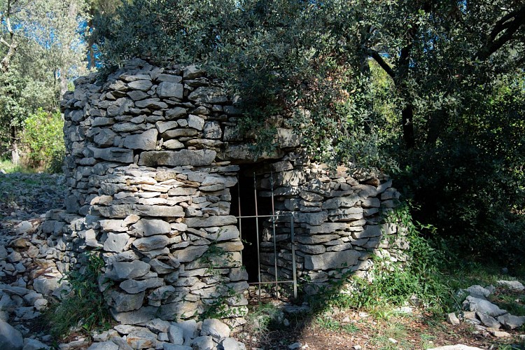 Parc & Arboretum de Vacquerolles