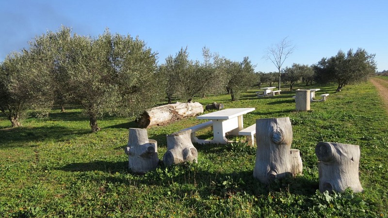 Olivette health trail