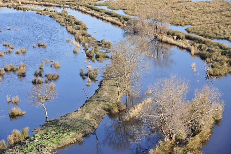Centre de Découverte du Scamandre