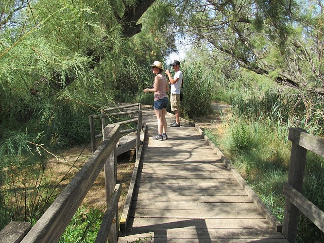 Center de Découverte du Scamandre