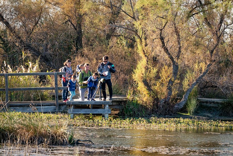 Centre de Découverte du Scamandre