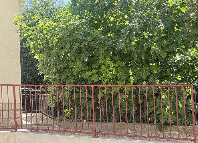 WC public - Salle Léon Pasquier