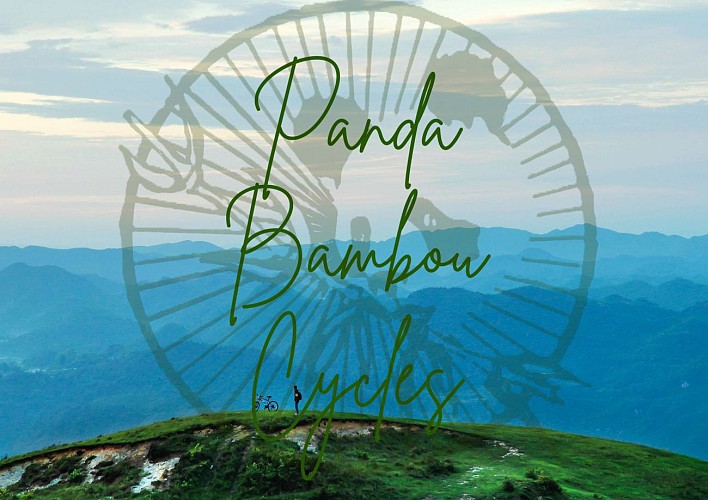 Panda Bambou Cycles
