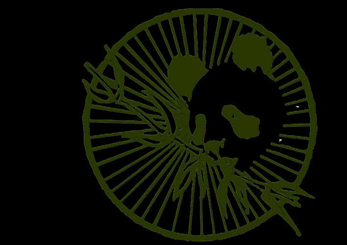 Panda Bambou Cycles