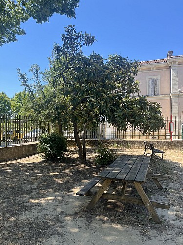 Water point - Station Park