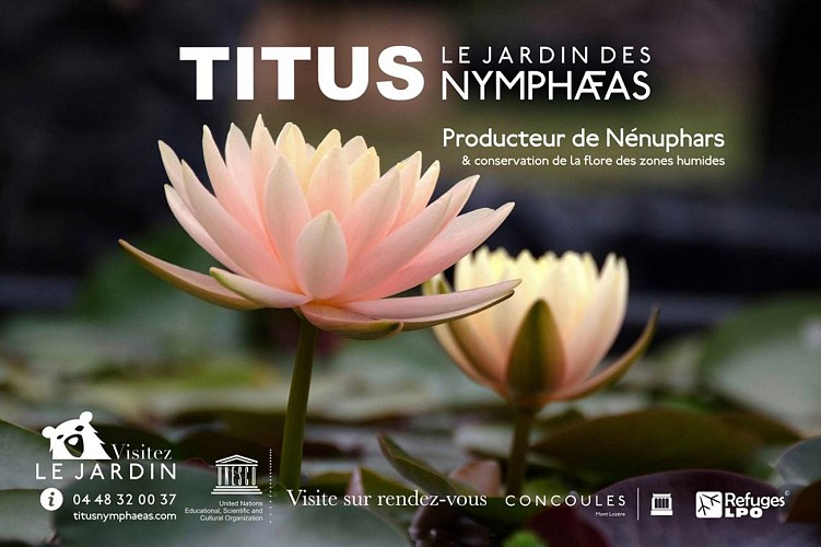 Titus, le Jardin des Nymphaeas